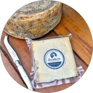 <b>Queso</b><br> Capresano