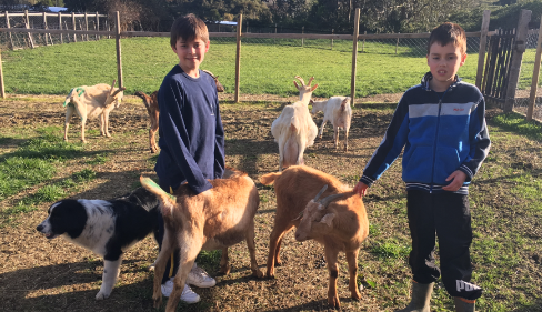 dgranja-imagenes-eligeTuPanorama-paseoPorElCampo