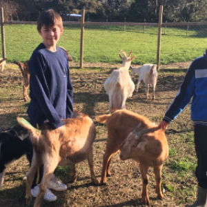 dgranja-imagenes-eligeTuPanorama-paseoPorElCampo